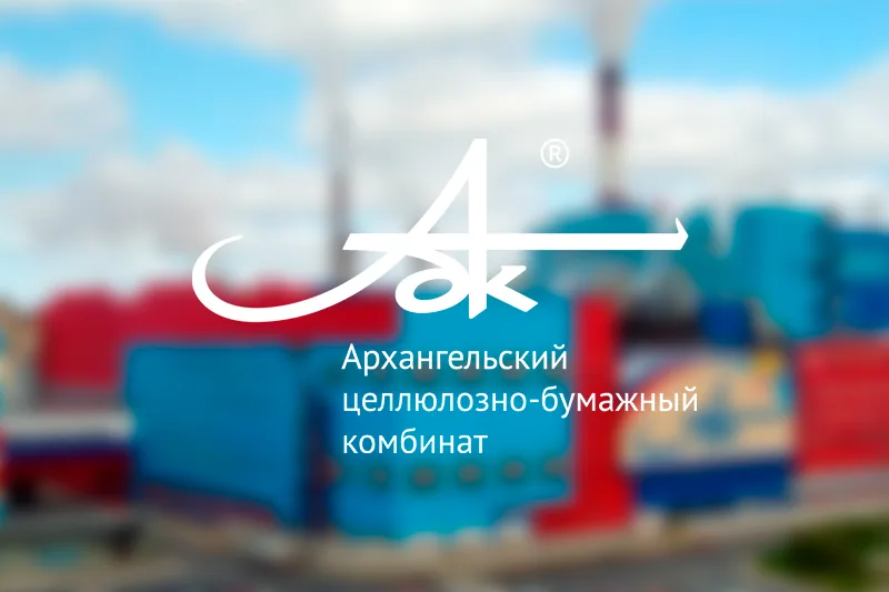 Как Архангельский ЦБК обновил 30% поставщиков и упростил закупки при помощи Bidzaar