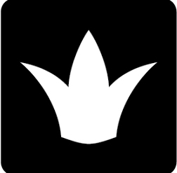 company logo